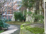 CITY OPEN SPACES